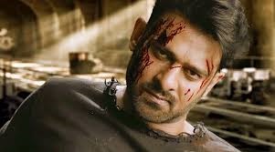 Sahoo Movie: Caroline Glaser