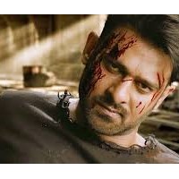 Портфолио Caroline Glaser